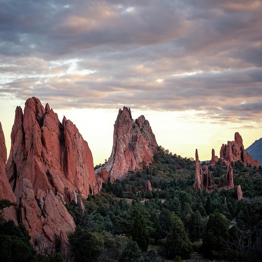 Orange Giants Photograph by Addison Williams - Fine Art America