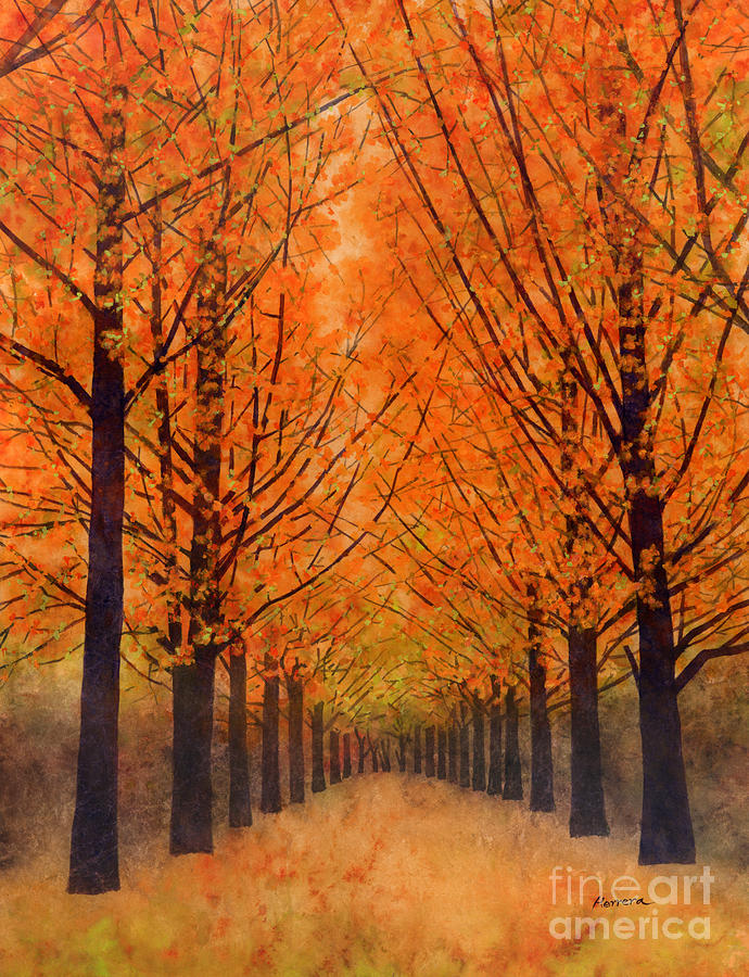 Orange Painting - Orange Grove by Hailey E Herrera