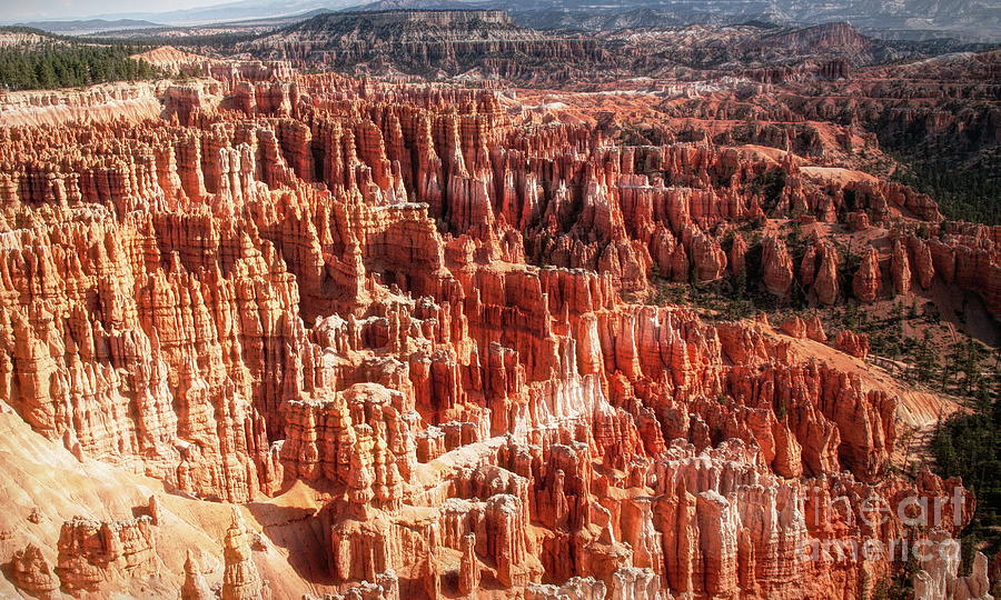 Orange Hoodoos Stand Tall  Photograph by Chuck Kuhn