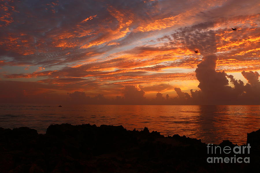 Orange Ocean Sunrise Photograph by Tom Claud