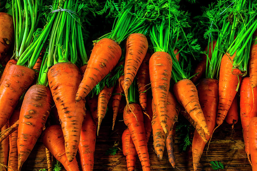 Orange Organic Carrots Photograph by Garry Gay