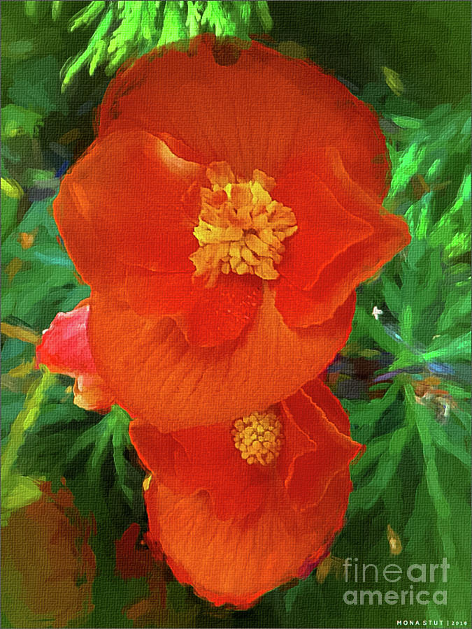 Orange Red Begonias Digital Art by Mona Stut