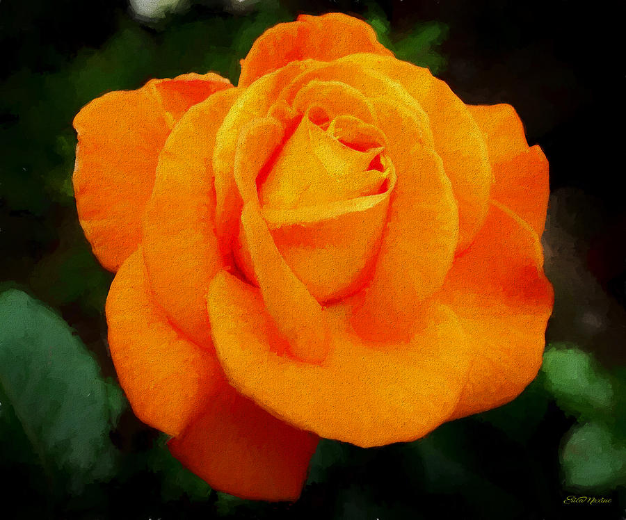 Orange Rose 971 - Painting by Ericamaxine Price Orange Rose 971 - Painting by Ericamaxine Price