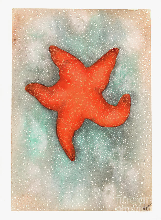 Orange Sea Star Painting by Hilda Wagner