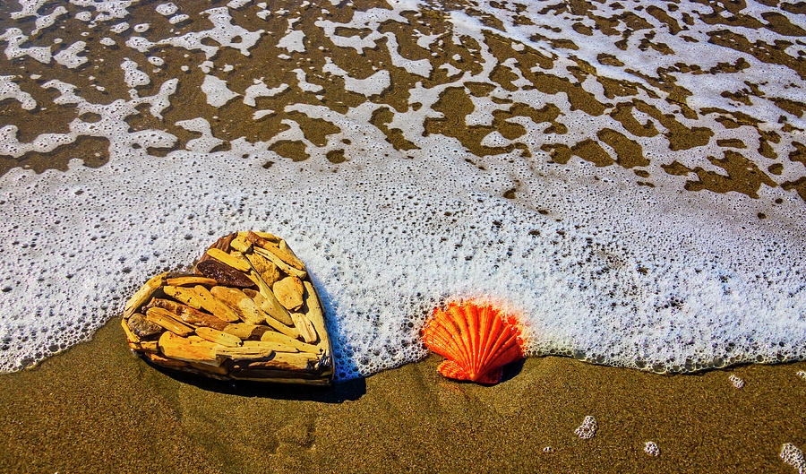 Orange Seashell And Driftwood Heart Photograph by Garry Gay