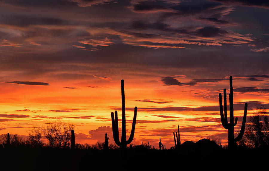 Orange Sherbert Silhouette Sunset Photograph by Saija Lehtonen - Fine ...