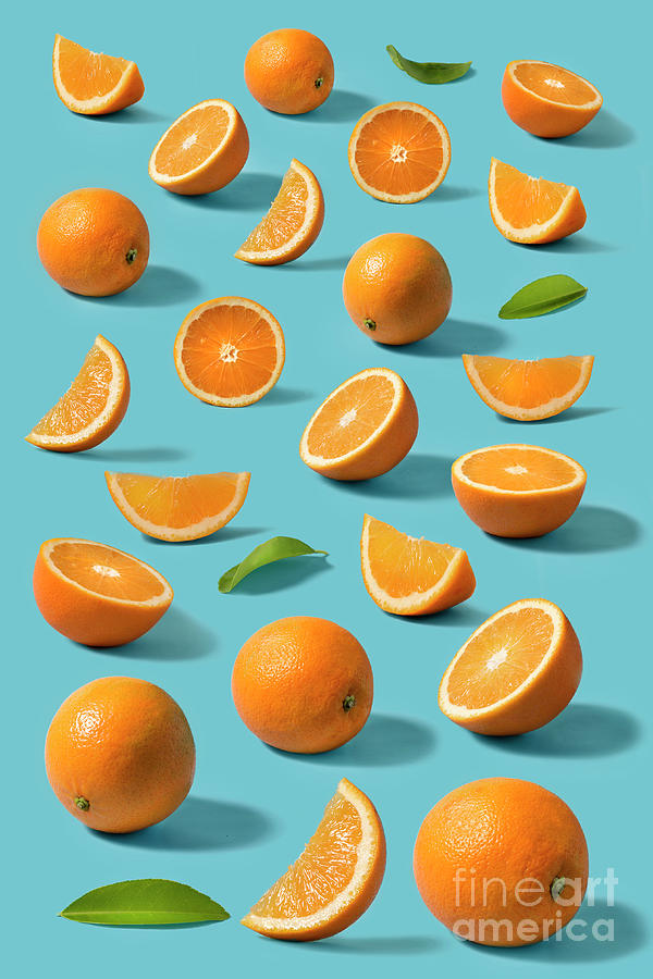 Orange Still Life On Blue Background Photograph by Twomeows