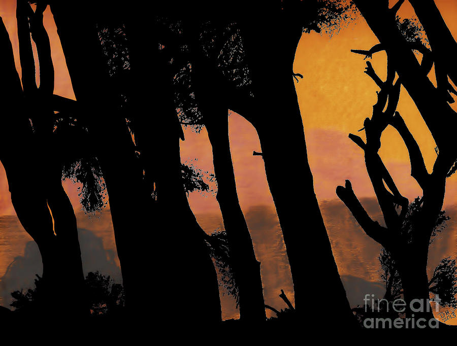 Orange Sunset Forest Drawing by D Hackett - Fine Art America