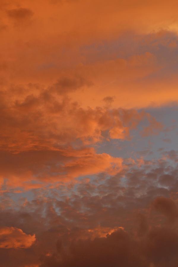 Orange Sunset of Florida Photograph by M E