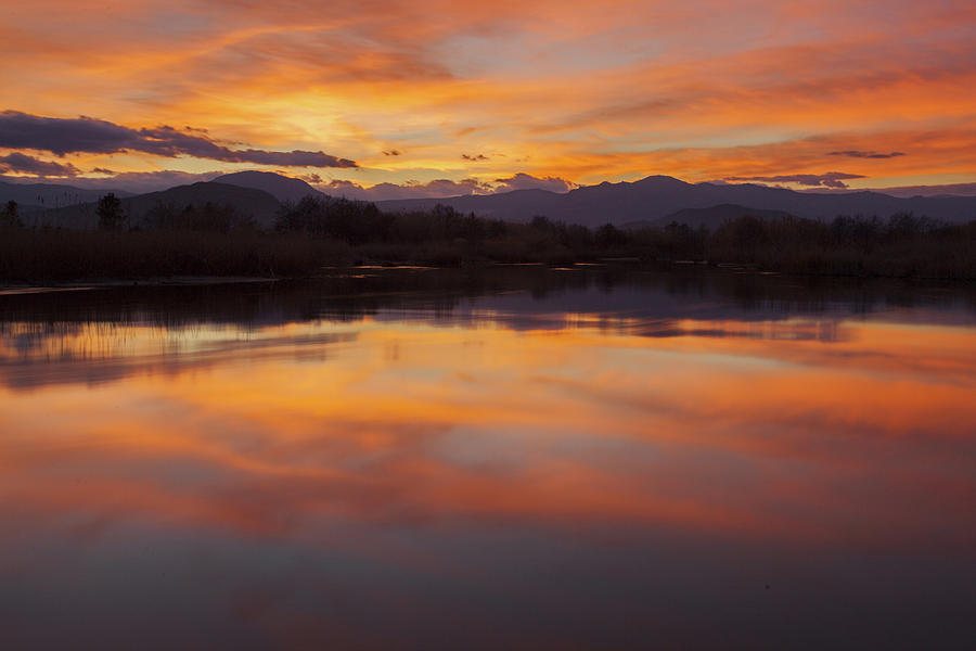 Orange sunset on the pond by Daniele Fanni Orange sunset on the pond by Daniele Fanni