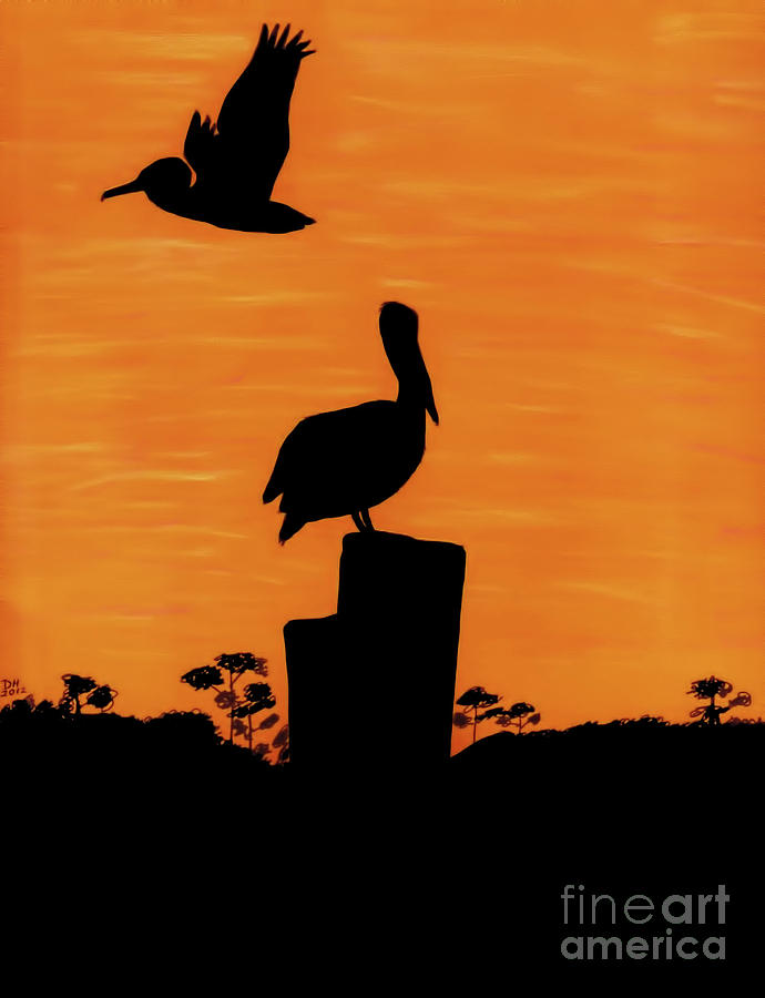 Orange - Sunset - Pelicans Drawing by D Hackett