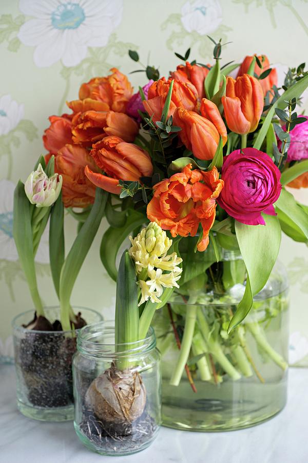 Orange Tulips And Pin Ranunculus In Glass Vase Next To Hyacinth And Tulips Planted In Glass Pots Photograph by Cecilia Mller