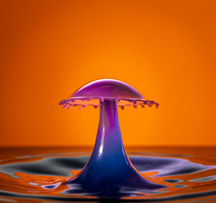 Orange Wet Photograph by Thomas Evans