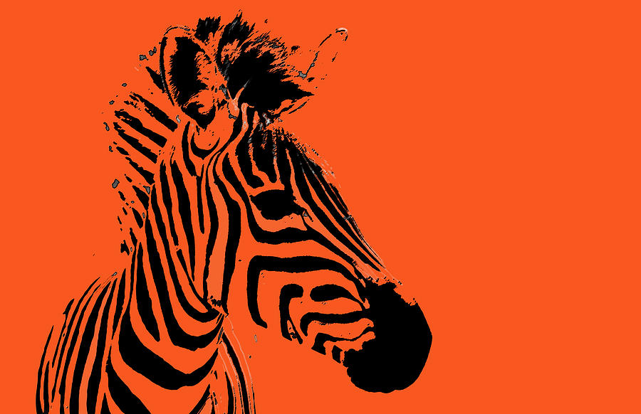 Orange Zebra Digital Art by Stamp City