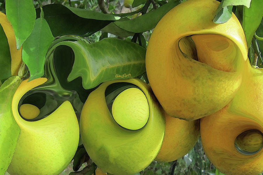 Oranges by Carel Schmidlkofer Oranges by Carel Schmidlkofer