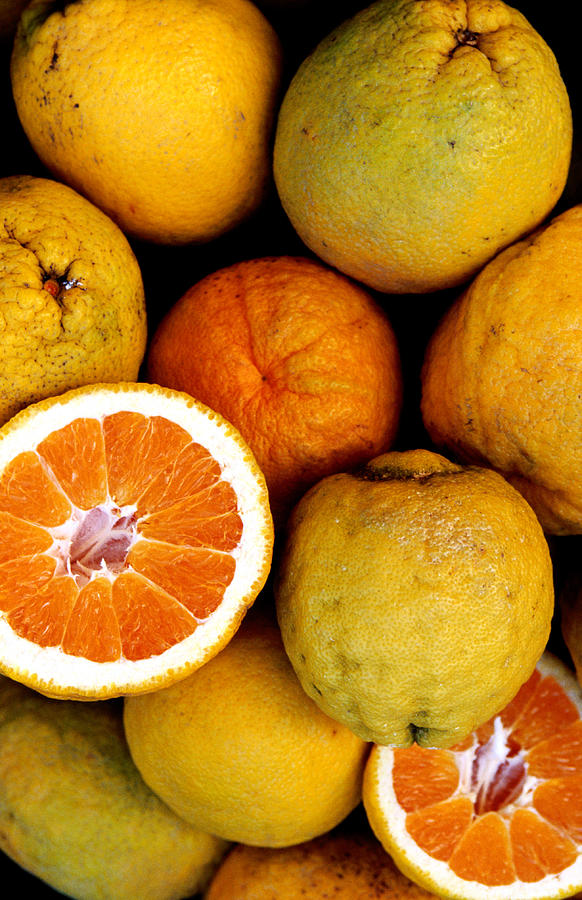 Oranges From Amalfi Coast Photograph by Lonely Planet
