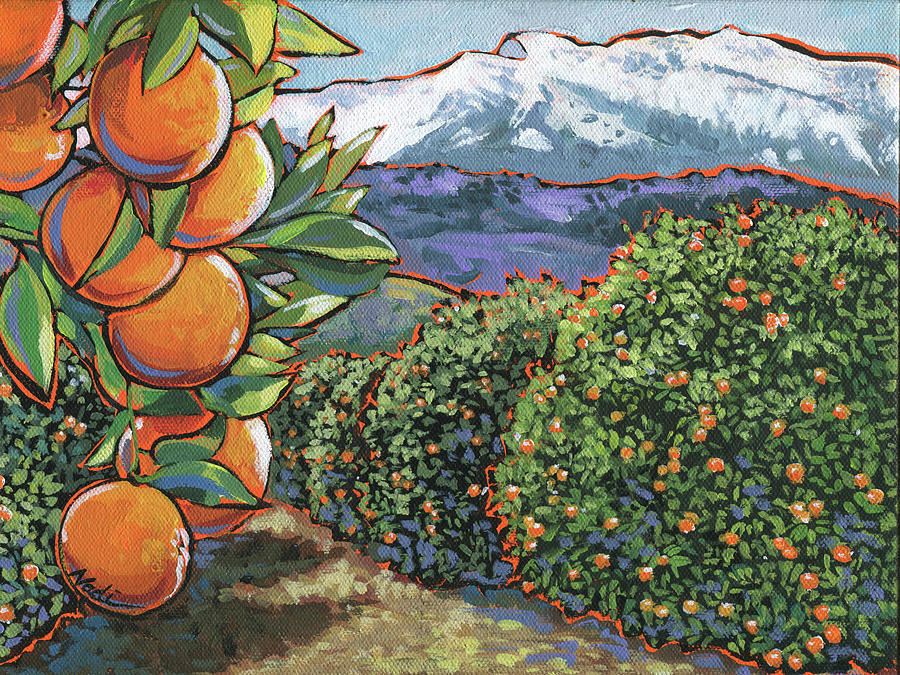 Oranges Painting by Nadi Spencer