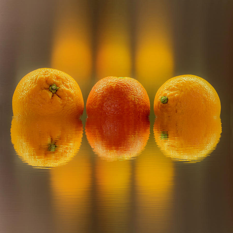 Oranges Photograph by Wolfgang Stocker