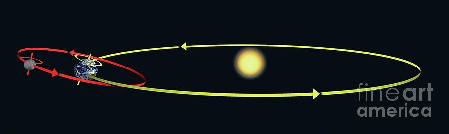 Orbits Of The Earth And Moon Around The Sun Photograph by Tim Brown/science Photo Library