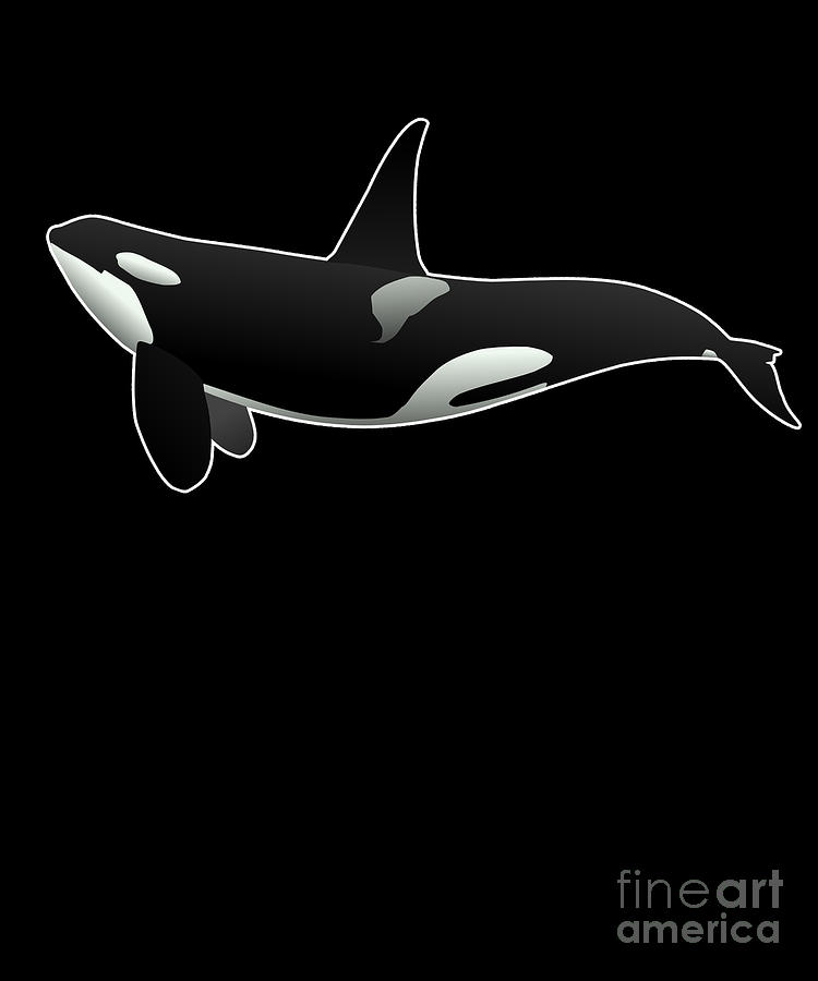 Orca Killer Whale by Flippin Sweet Gear Orca Killer Whale by Flippin Sweet Gear