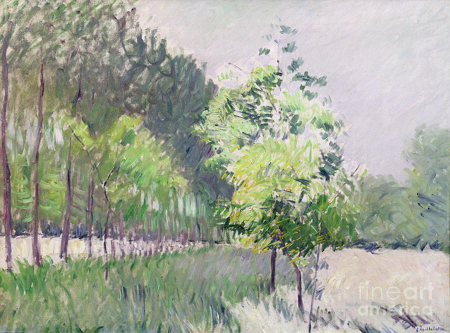 Gustave Caillebotte Painting - Orchard And Avenue Of Trees by Gustave Caillebotte