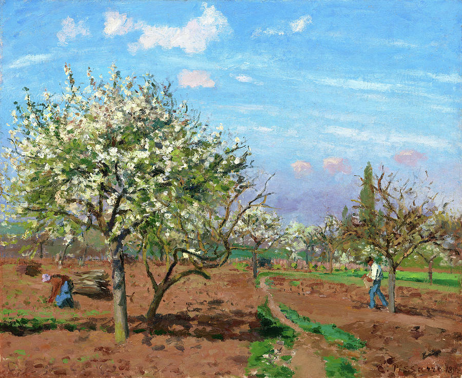 Camille Pissarro Painting - Orchard in Bloom, Louveciennes - Digital Remastered Edition by Camille Pissarro