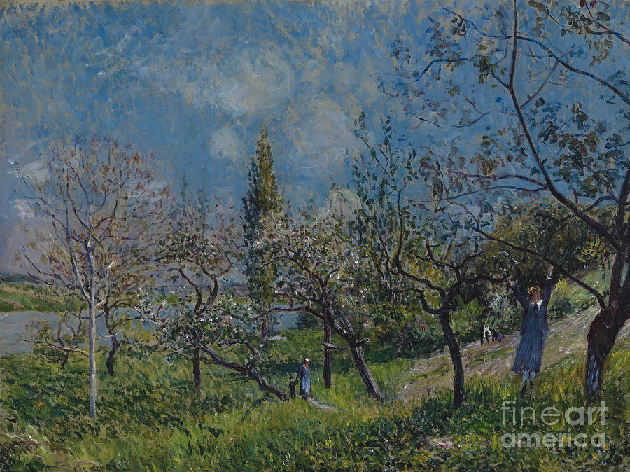 Orchard In Spring, By, 1881. Artist Drawing by Heritage Images