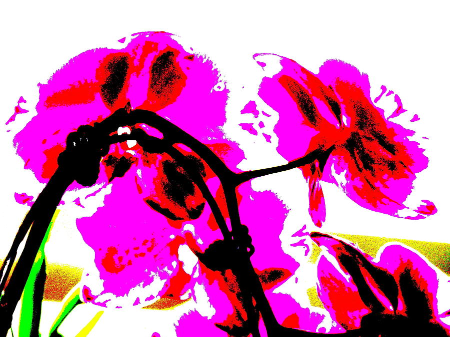Orchid Abstract 53 Digital Art