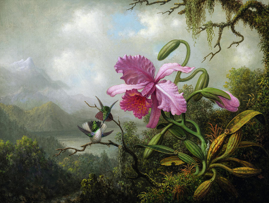 Magnolia Movie Painting - Orchid and Hummingbirds near a Mountain Lake, 1890 by Martin Johnson Heade
