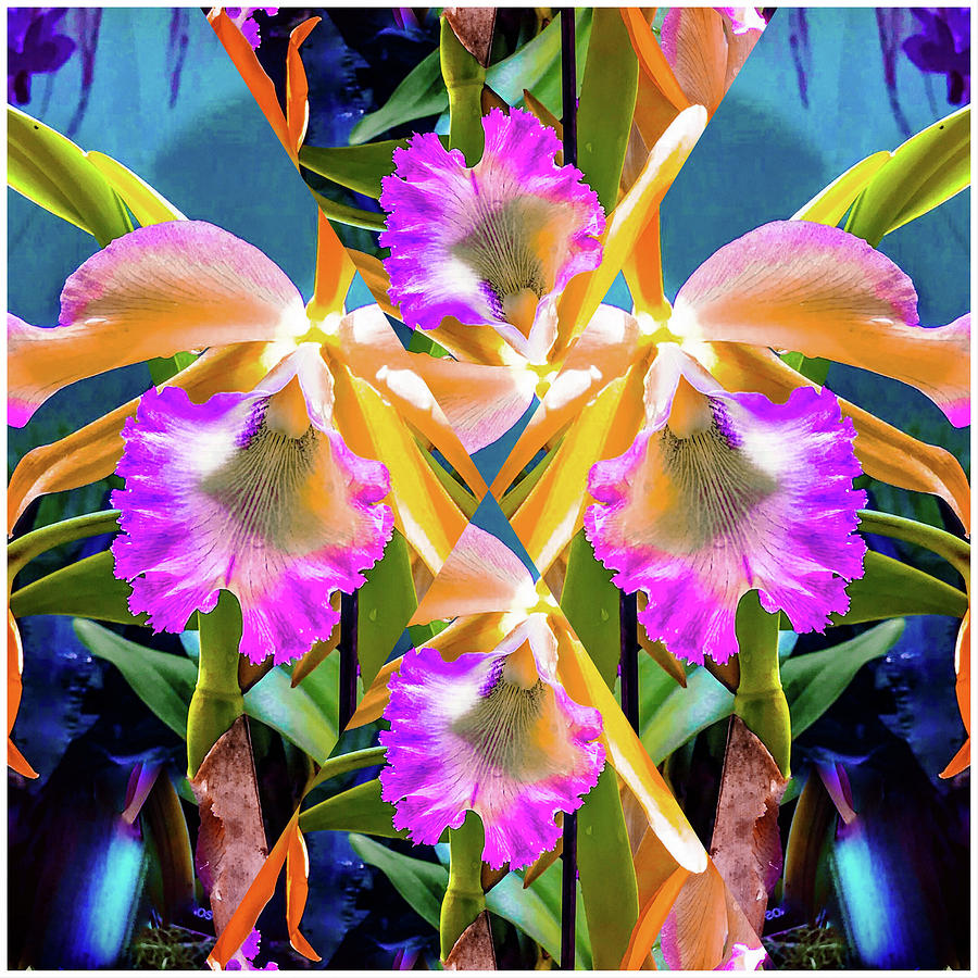 Orchid and Orchids Digital Art by Don Wright