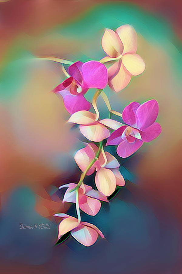 Orchid Display Digital Art by Bonnie Willis