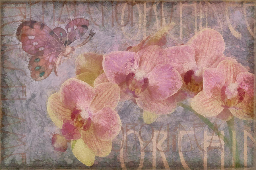 Typography Photograph - Orchid II by Cora Niele