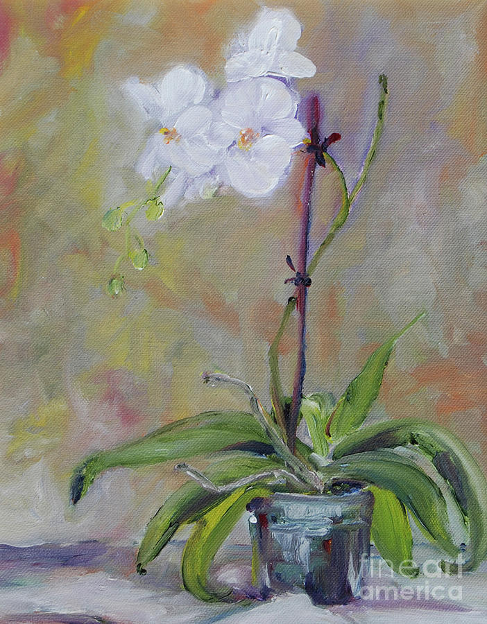 Orchid in grey pot Painting by Frank Hoeffler