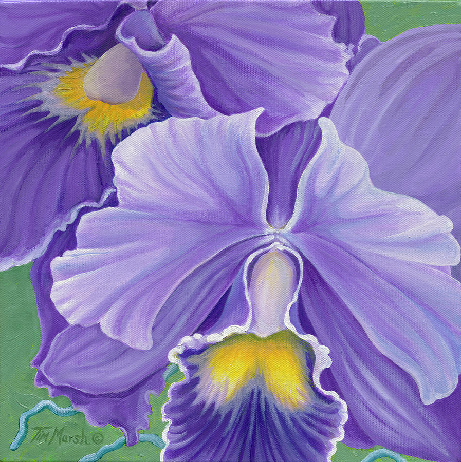 Nature Painting - Orchid Series 3 by Tim Marsh
