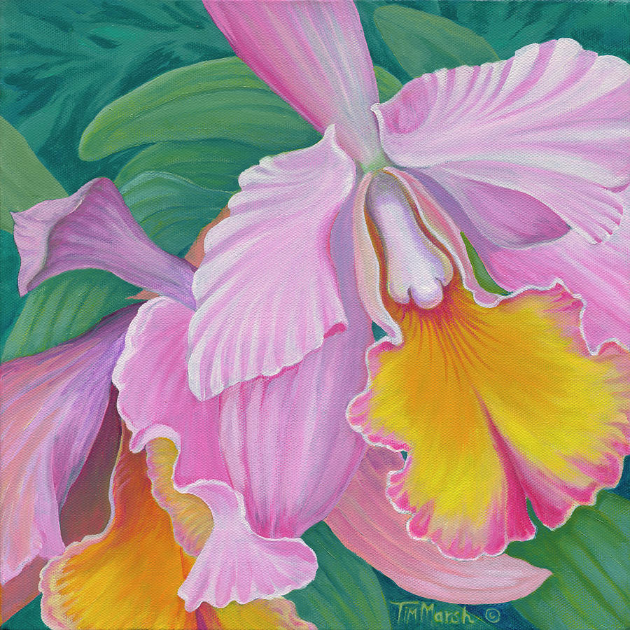 Nature Painting - Orchid Series 4 by Tim Marsh