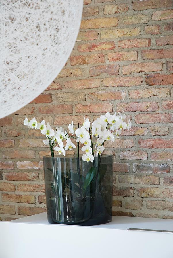 Orchids In Smoked Glass Vase Against Brick Wall; Detail Of Spherical Lampshade Photograph by Brbel Miebach