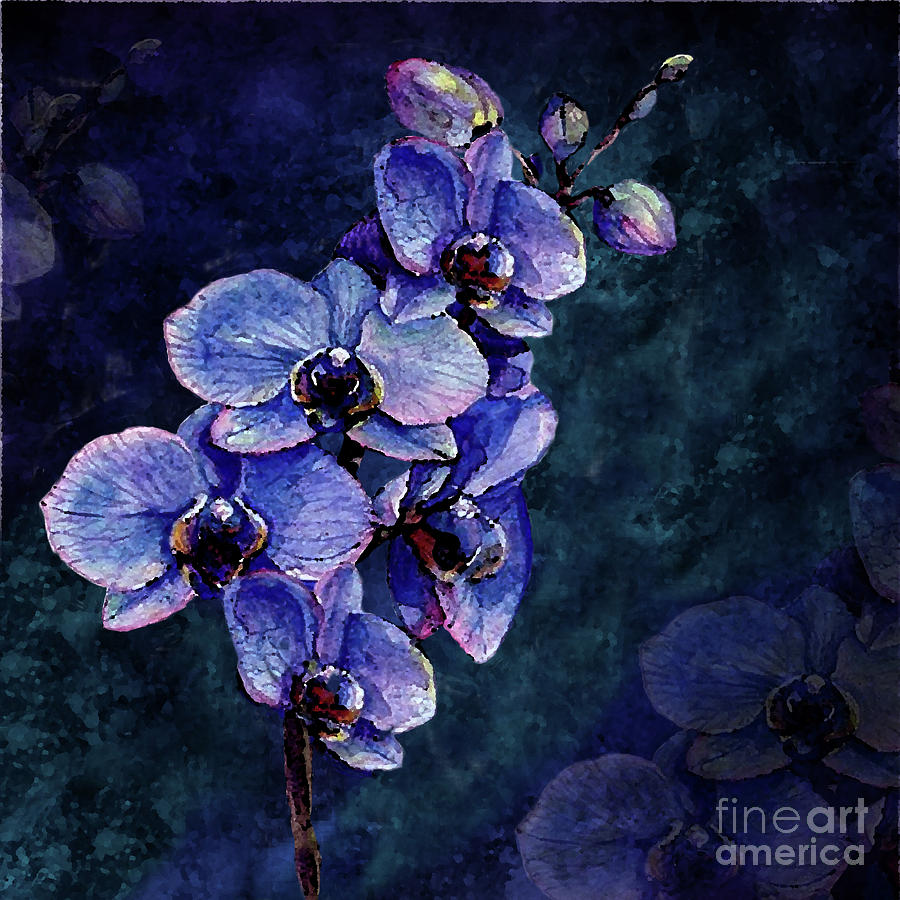 Orchids of the Night Digital Art by J Marielle