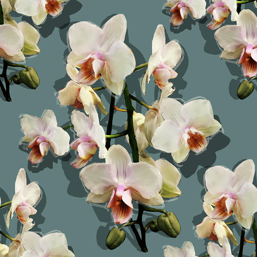 Orchids - on blue Mixed Media by BFA Prints