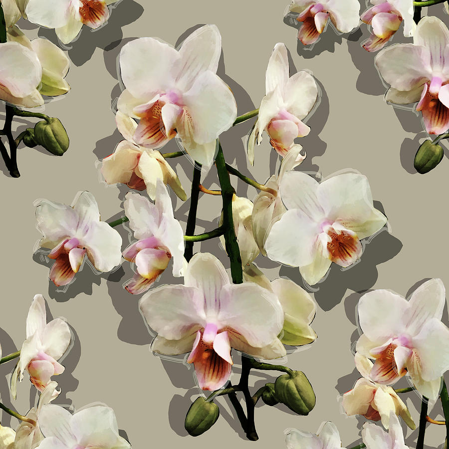 Orchids - on cream Mixed Media by BFA Prints