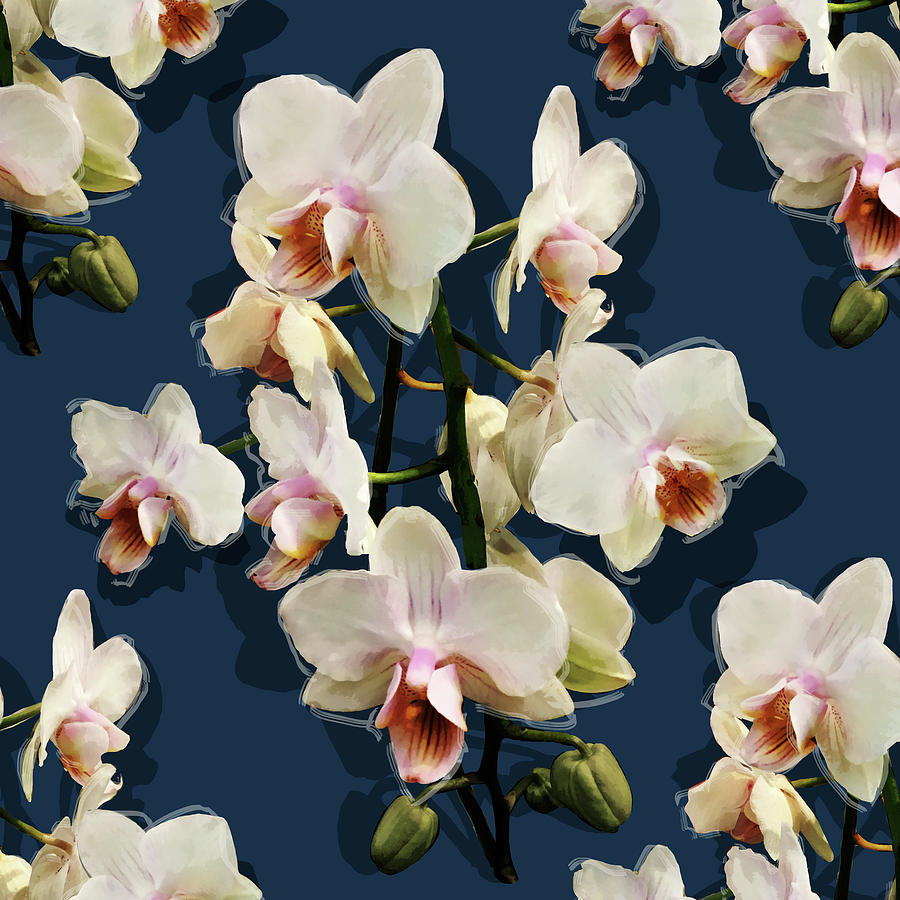 Orchids - on dark blue Mixed Media by Big Fat Arts