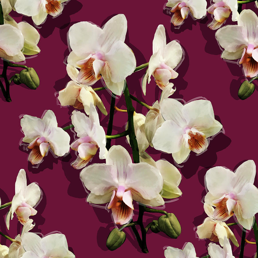 Orchids - on red Mixed Media by BFA Prints
