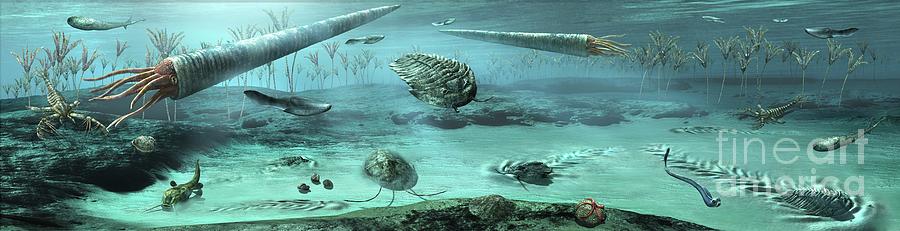 Ordovician Sea Photograph by Masato Hattori/science Photo Library