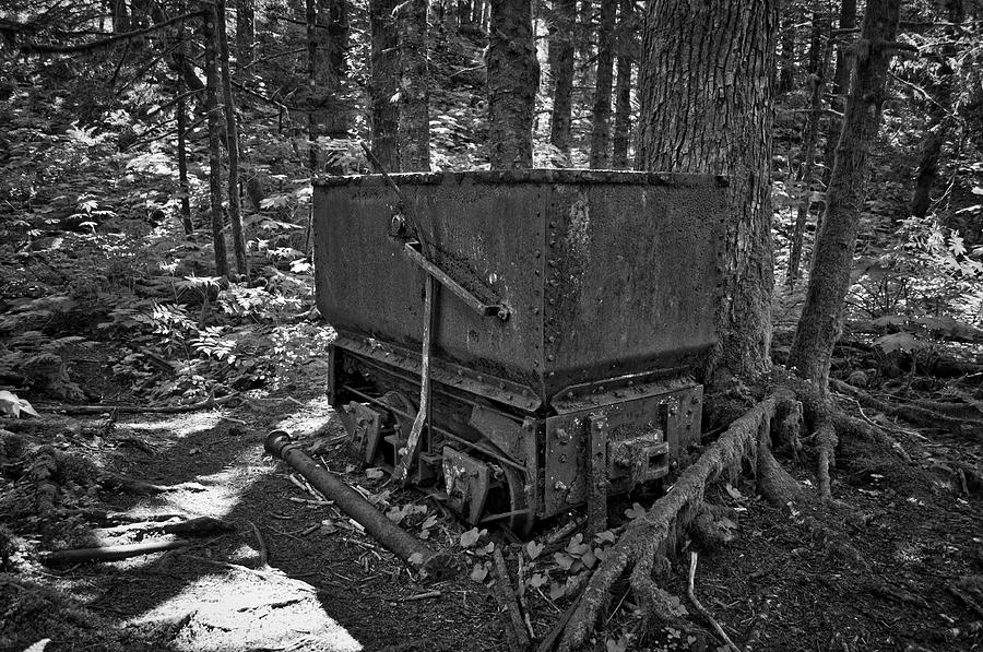 Ore Cart in the Forest Monochrome Photograph by Cathy Mahnke