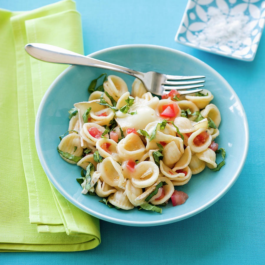 Orecchiette Pasta Salad With Tomatoes And Basil Photograph by Leo Gong