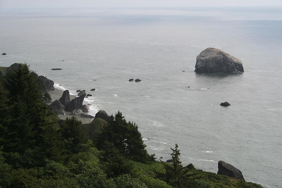Oregon Blend by Dylan Punke Oregon Blend by Dylan Punke