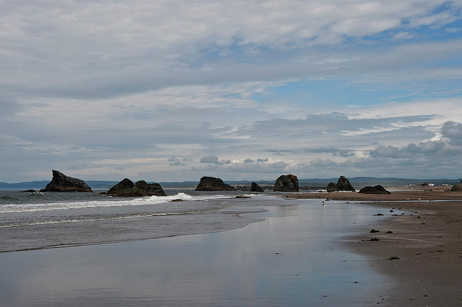 Oregon Coast #1 Photograph by Wade Aiken