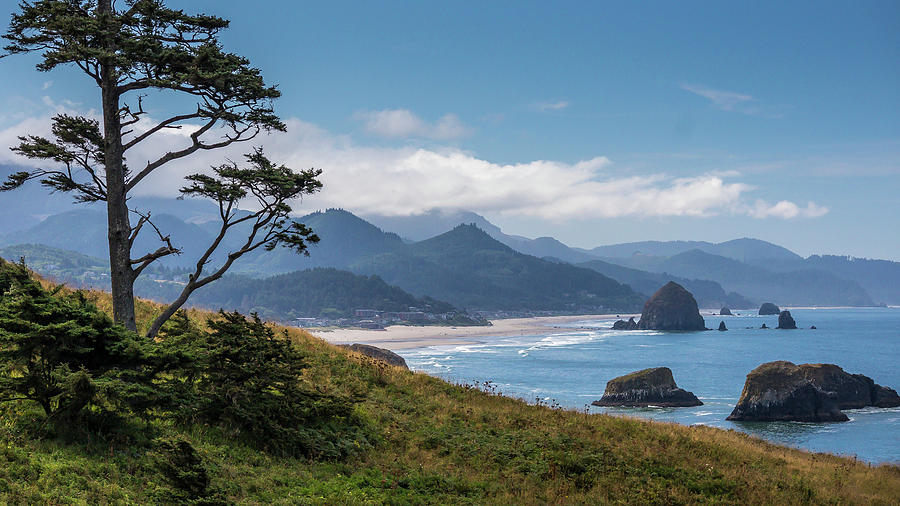 Oregon Coast 3 by Mark Mille Oregon Coast 3 by Mark Mille