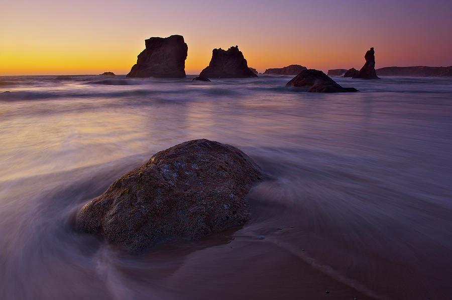 Oregon Coast Photograph by Enrique R. Aguirre Aves