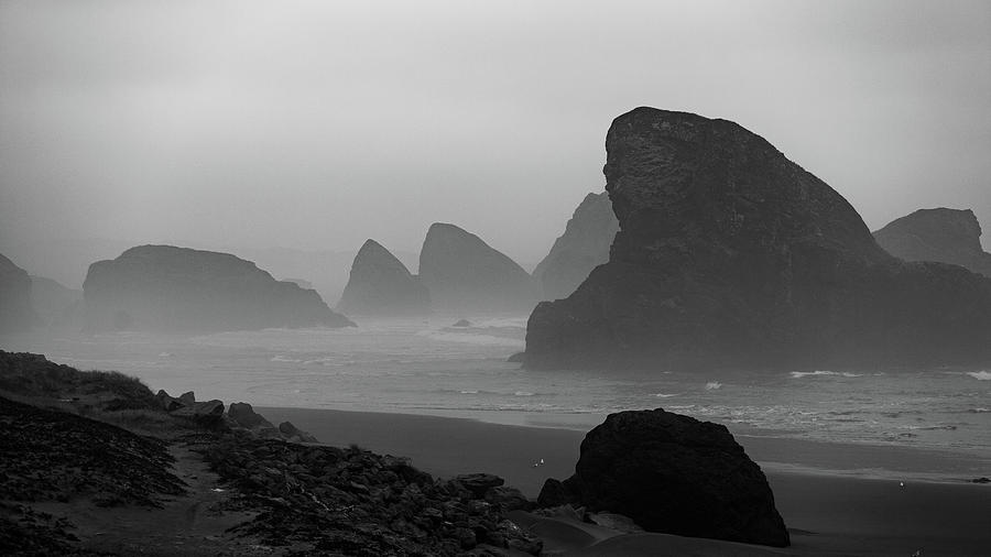 Oregon Photograph - Oregon Coast Fog 6 by Mike Penney