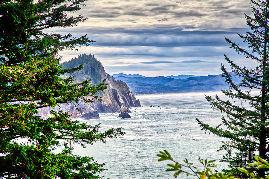 Oregon Coast from Cape Falcon Photograph by Bruce Block